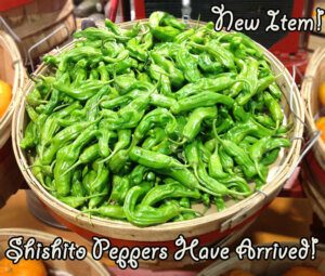 Shishito Peppers