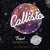 Ecliptic Callisto Tripel