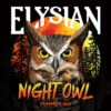 Elysian Brewing Company Night Owl Pumpkin Ale