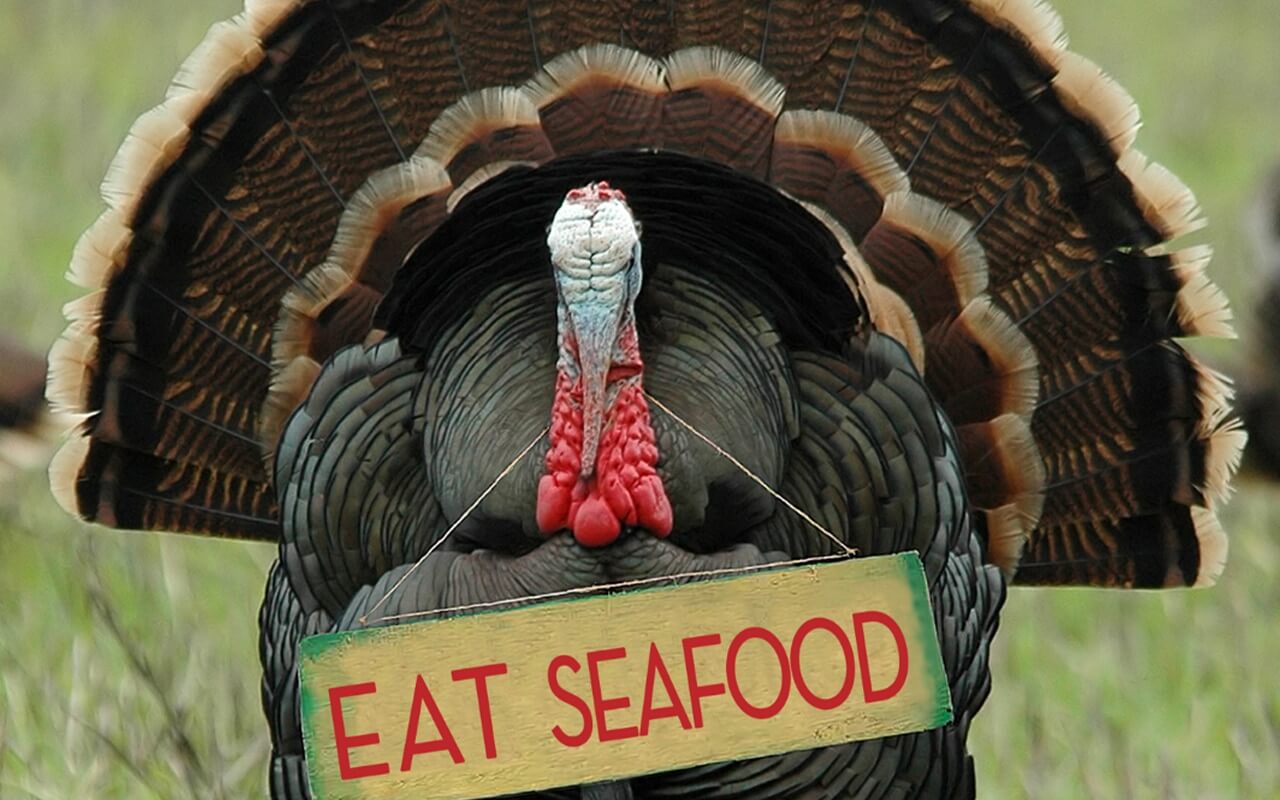 Let's Talk Turkey at Newport Ave. Market